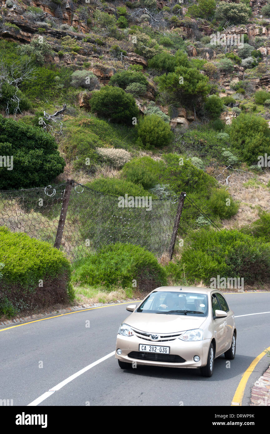 Protection contre les chutes de pierres le long de Chapman's Peak entre Noordhoek et Hout Bay, Western Cape, Afrique du Sud Banque D'Images