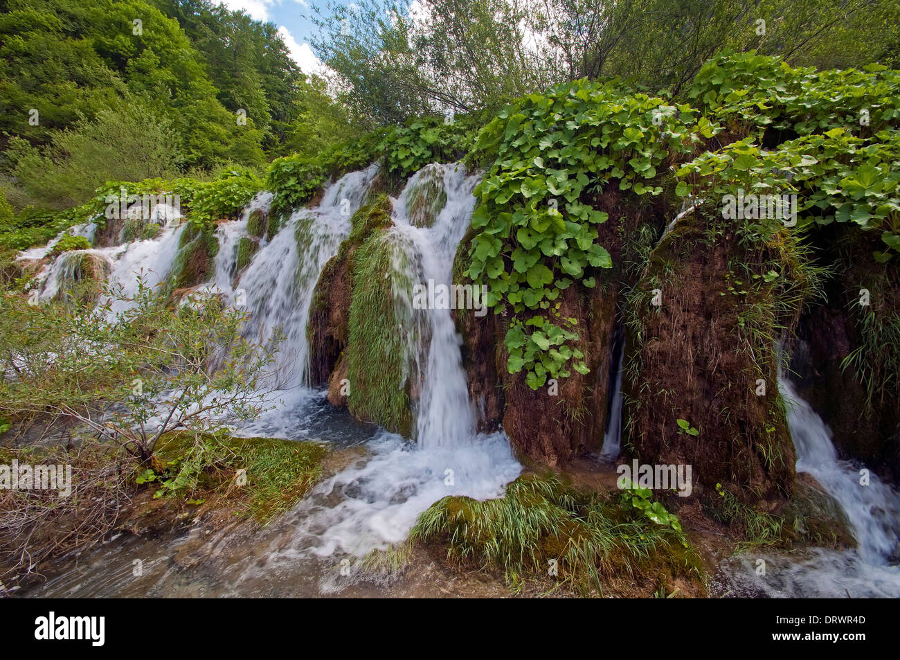 Les lacs de Plitvice, Cascade, Forêt, Parc National, Croatie Banque D'Images
