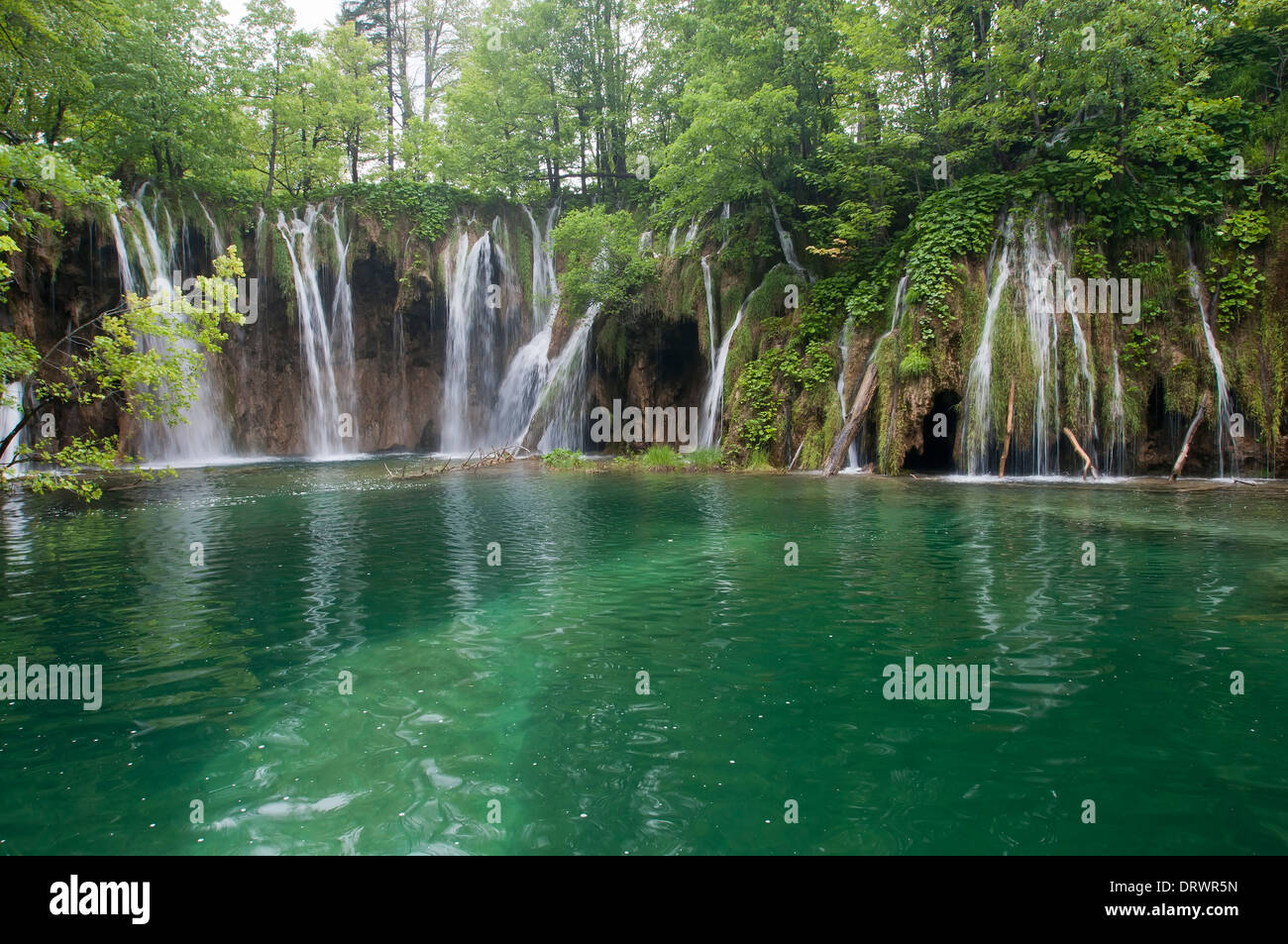 Les lacs de Plitvice, Cascade, Forêt, Parc National, Croatie Banque D'Images