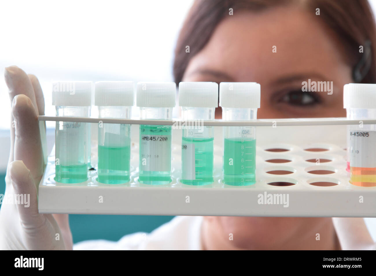 Jeune femme caucasienne technicien en travail de laboratoire avec l'échantillon dans un tube rack Banque D'Images