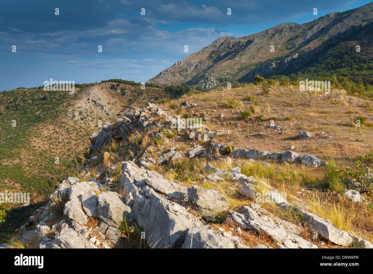 Le Monténégro. Paysage de montagne avec de l'herbe sèche croissant sur les rochers Banque D'Images