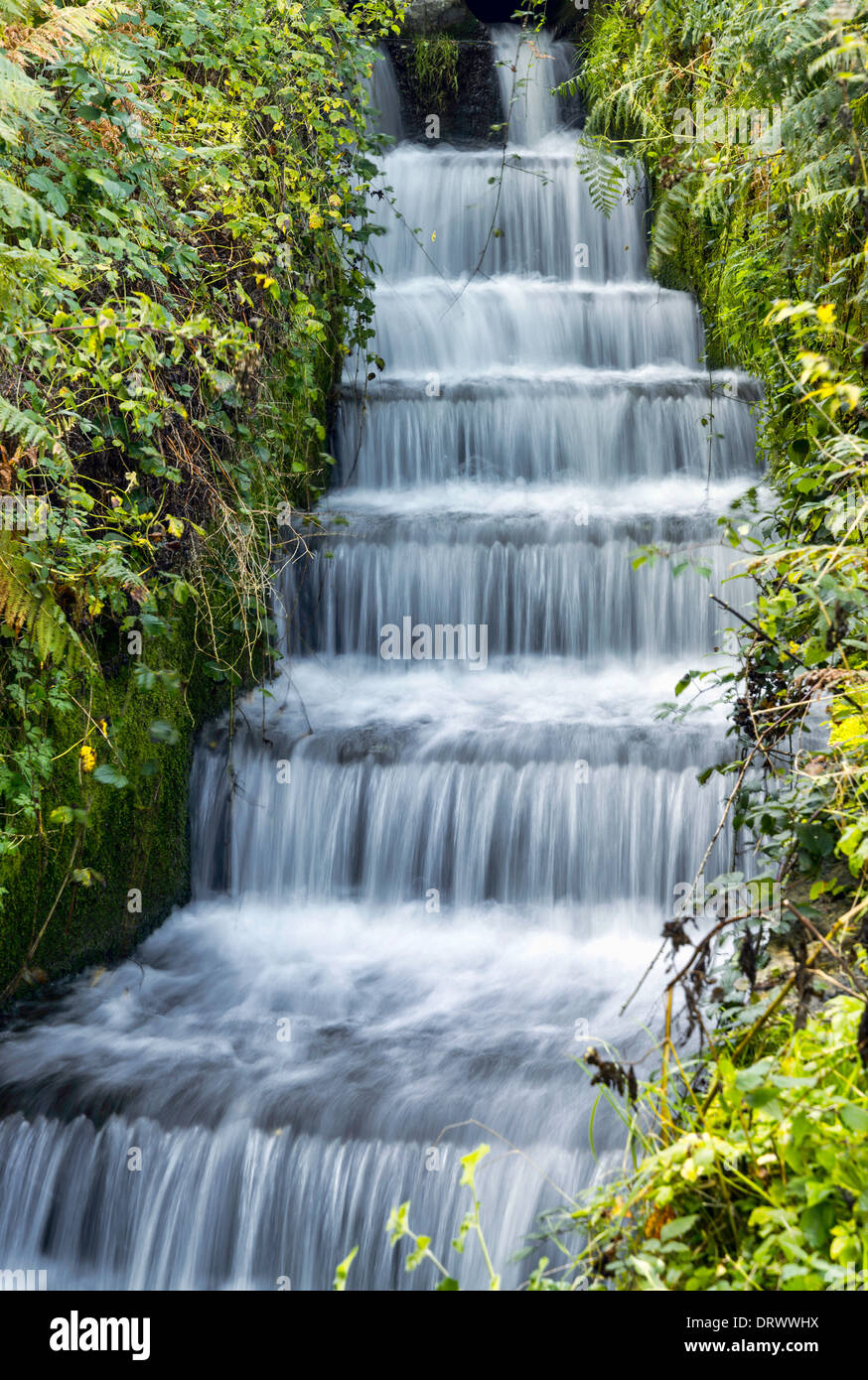 Débit d'eau dans Burton Mill Pond, West Sussex, UK Banque D'Images