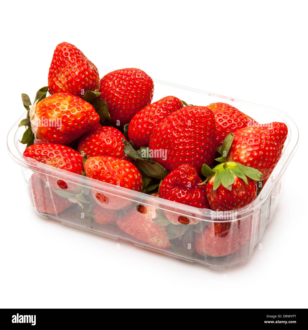 Fort ou de fraises punnett isolated on a white background studio. Banque D'Images