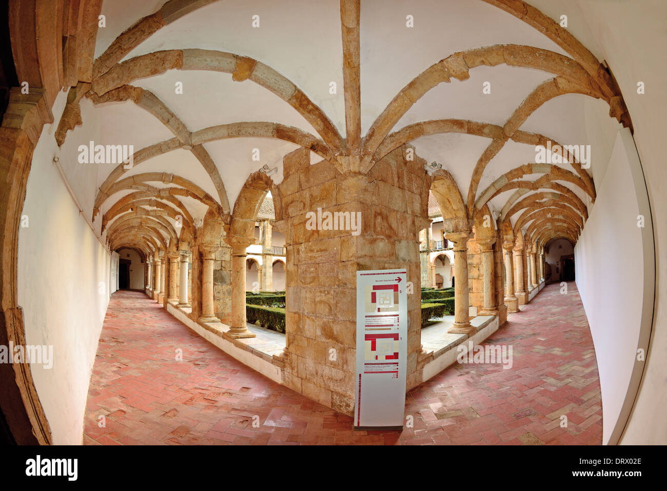 Le Portugal, l'Algarve : Cloître médiéval dans le musée de la ville de Faro Banque D'Images