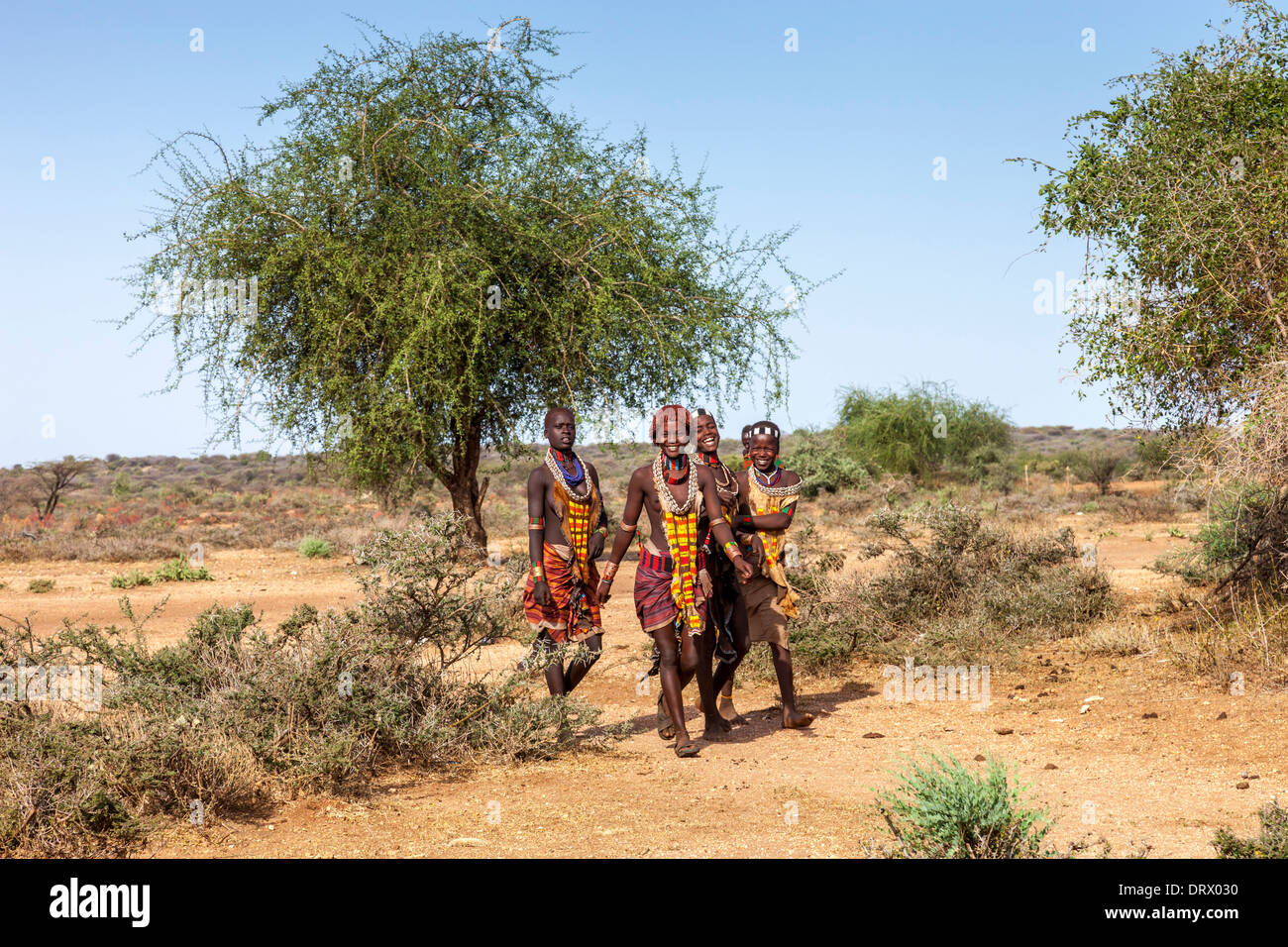 Les jeunes femmes de la tribu Hamer Hamer, village près de Turmi, vallée de l'Omo, Ethiopie Banque D'Images