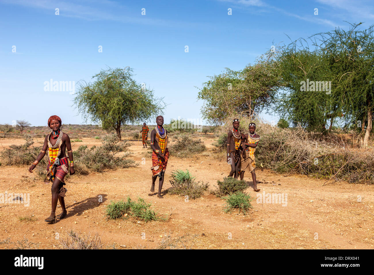 Les jeunes femmes de la tribu Hamer Hamer, village près de Turmi, vallée de l'Omo, Ethiopie Banque D'Images