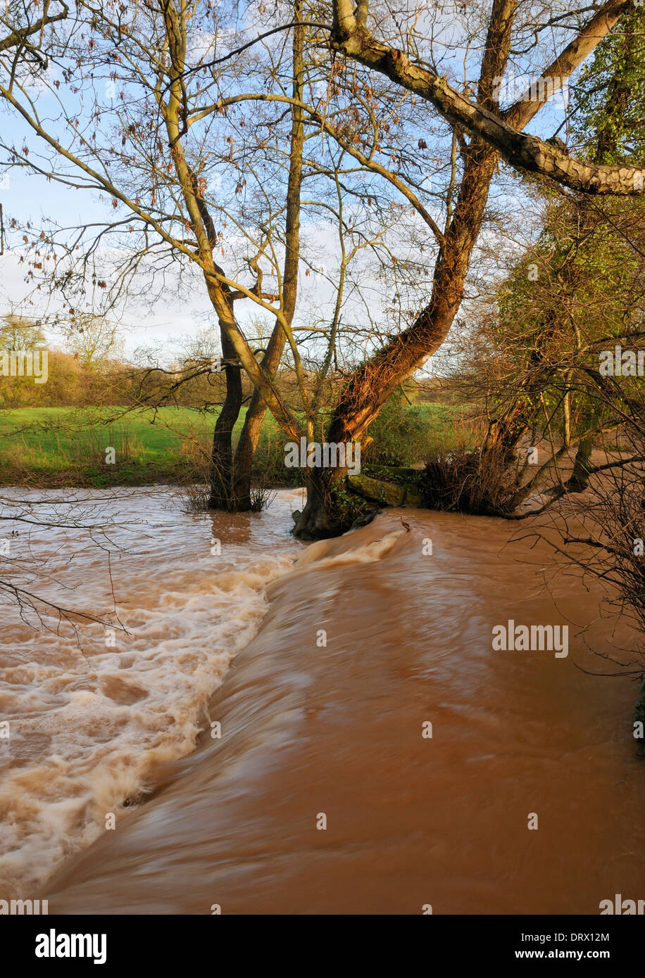 Rivière Yeo et chute d'inondation en Wrington Banque D'Images