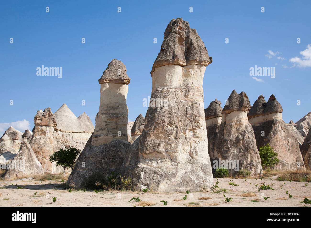 Les formations géologiques, domaine de Zelve, paysage, Cappadoce, Anatolie, Turquie, Asie Banque D'Images