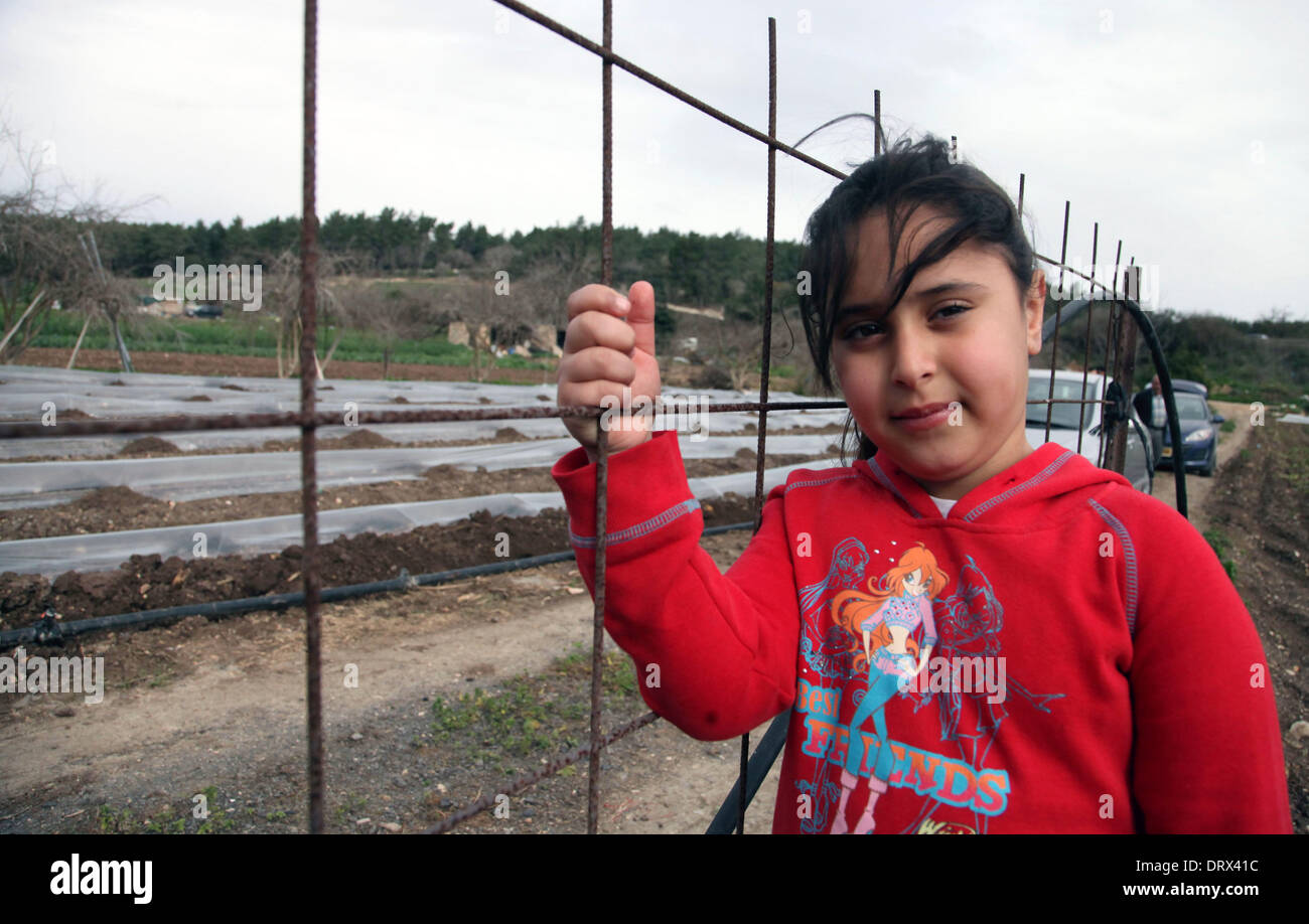 Une fille palestinienne se trouve à côté de sa ferme familiale dans la région de Saffuriyya village près de la ville de Nazareth, le 03 février 2014. Saffuriyya était occupée par les troupes israéliennes le 15 juillet 1948, au cours de l'opération Dekel. Le 15 juillet, des avions israéliens ont bombardé la ville et a provoqué la panique parmi la population. La plupart ont fui vers le nord vers le Liban, avec seulement environ 100 personnes âgées demeurant sur place. La ville a été complètement d'un nettoyage ethnique. Quelques-unes des personnes ont trouvé refuge à Nazareth et quelques Amr Shefa. Quelques maisons seulement restent sur le site. Photo par Saeed Qaq Banque D'Images