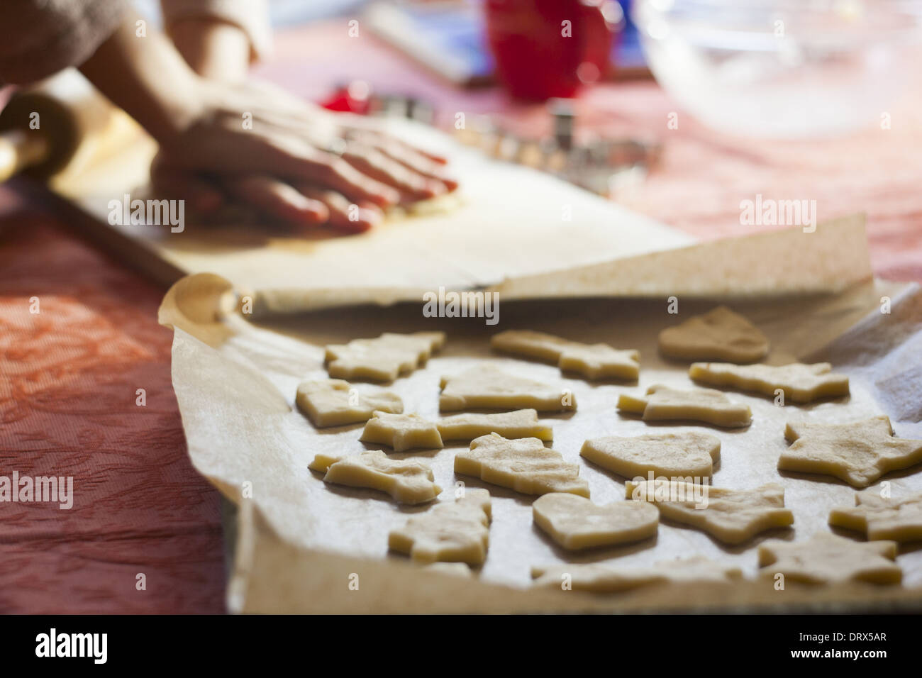 Womens mains appuyer sur la pâte pour faire découper les biscuits de Noël. Banque D'Images