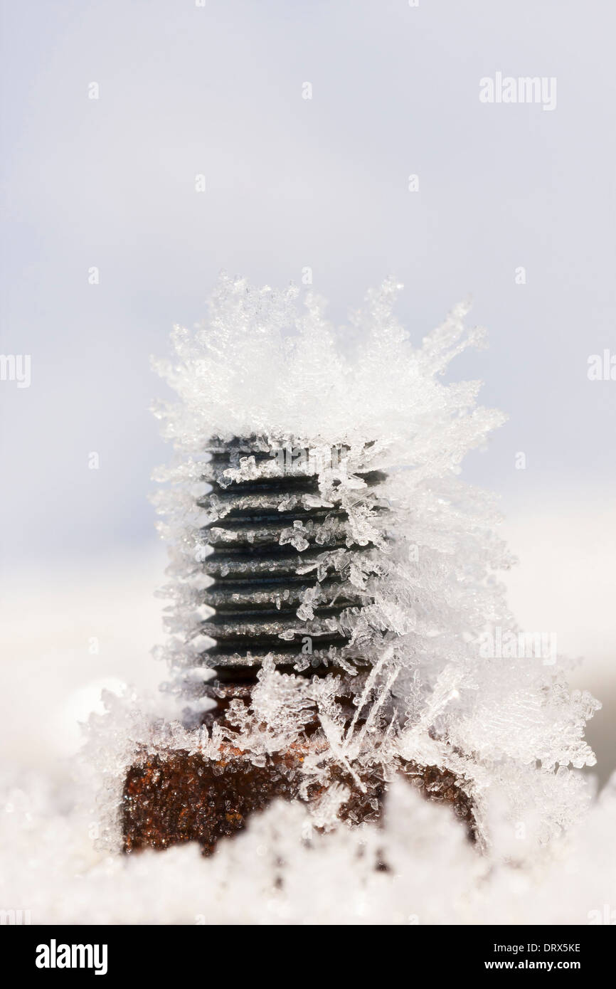 Vis ou boulons de Frosty libre lors d'une froide journée d'hiver Banque D'Images