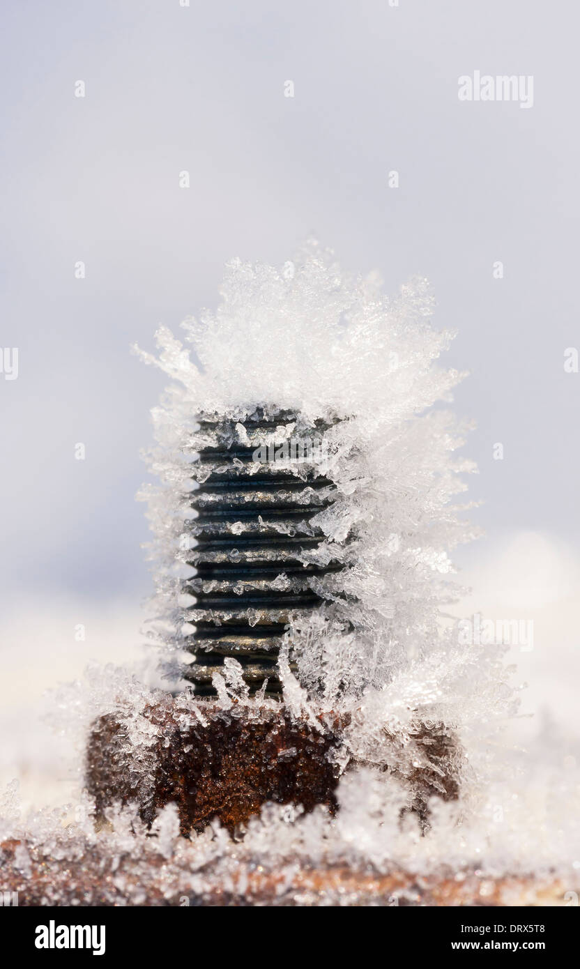 Vis ou boulons de Frosty libre lors d'une froide journée d'hiver Banque D'Images