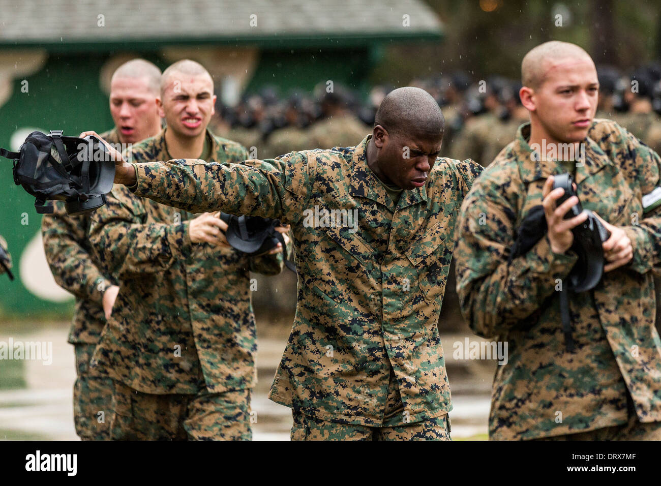 Les recrues de l'US Marine le starter et souffle de l'air après la sortie de la chambre à gaz au cours de boot camp, le 13 janvier 2014 à Parris Island, SC. Banque D'Images