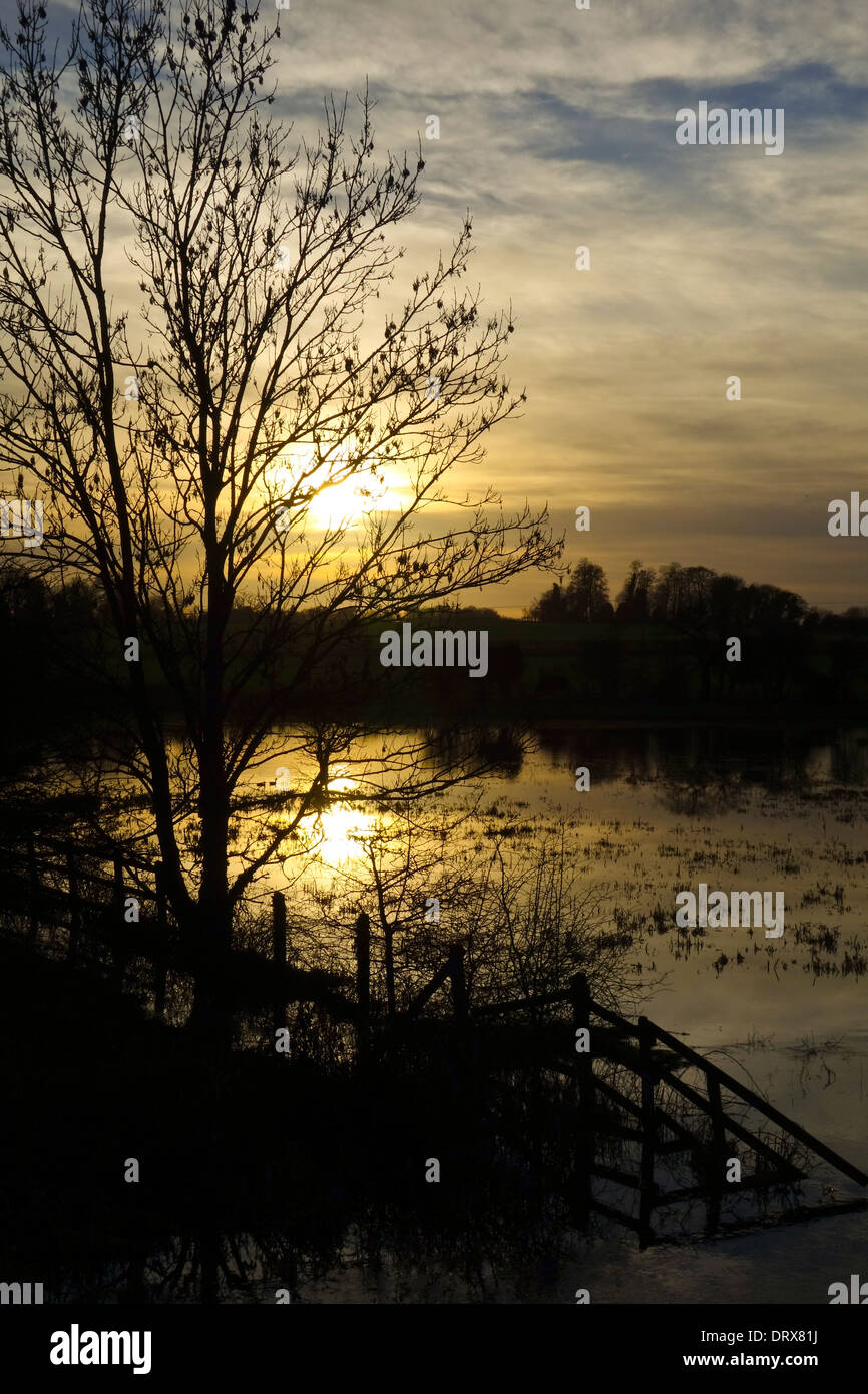 L'eau des marais inondés Prairie rivière crépuscule Norfolk Yare Banque D'Images