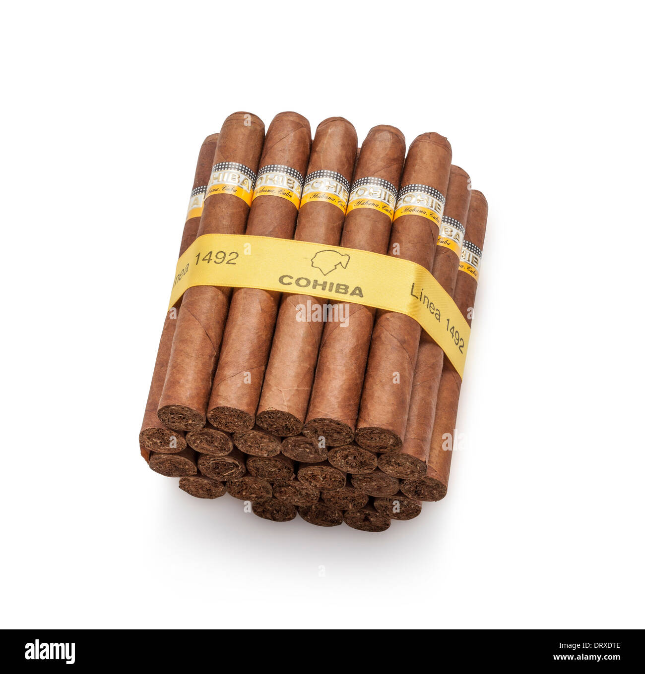 Cohiba linea 1492 cigare cubain Banque D'Images
