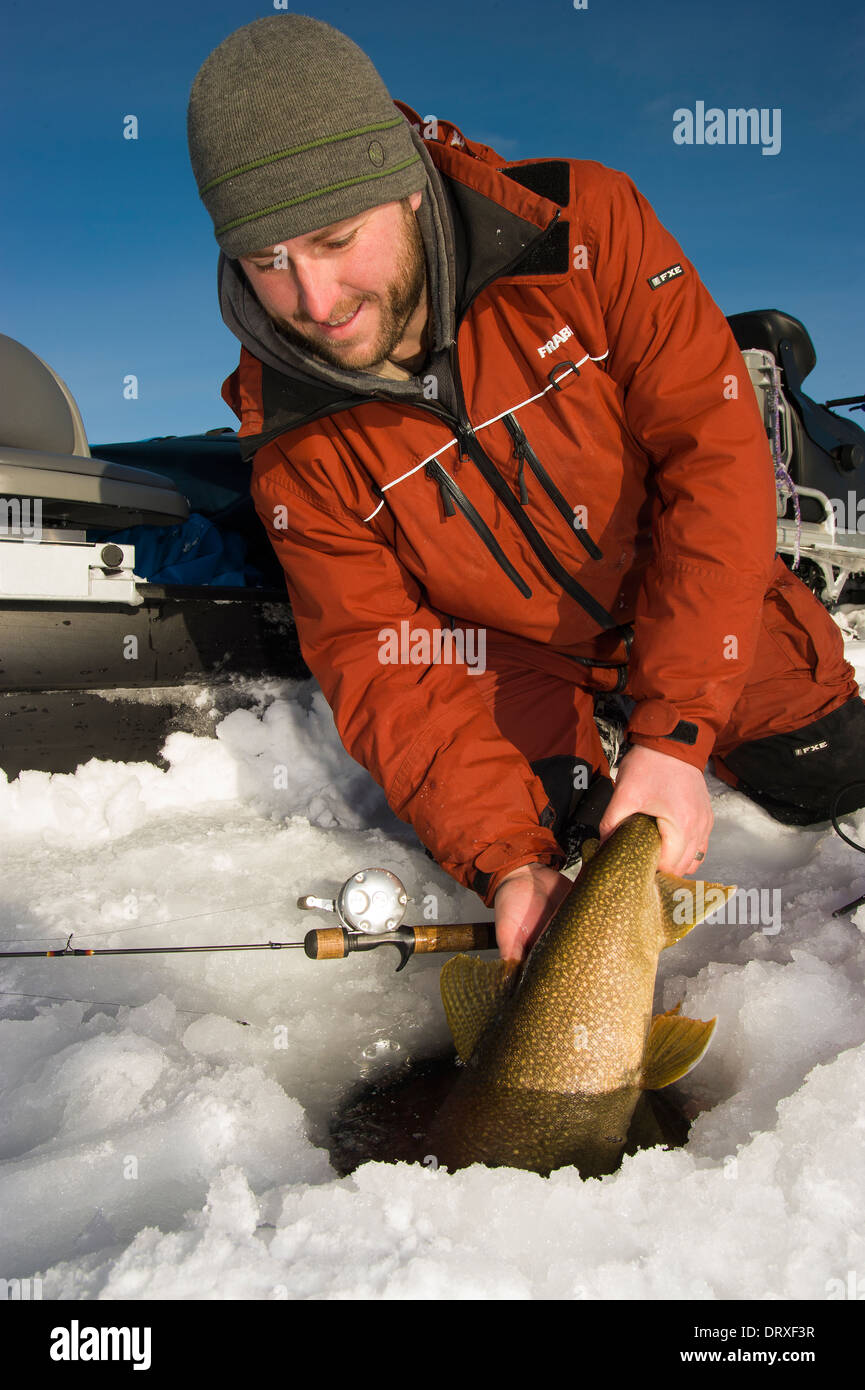 Angler presse un grand hiver le touladi dans le lac à travers la glace de pêche. Banque D'Images