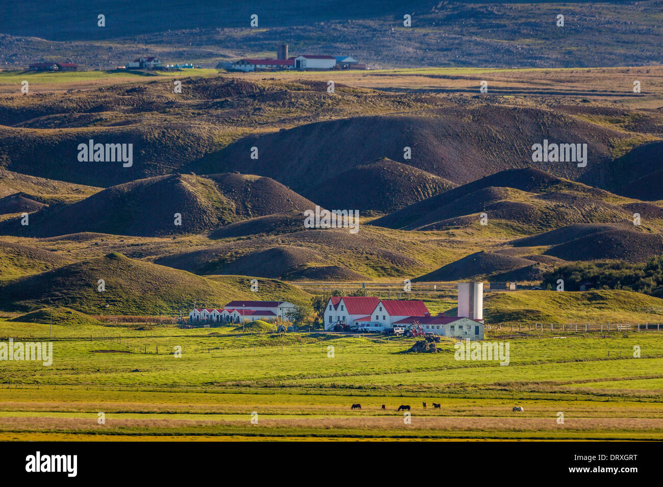 Les terres agricoles, le nord de l'Islande, Banque D'Images