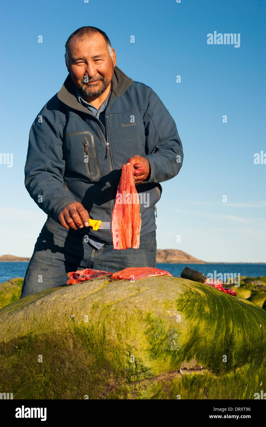 Un guide de pêche Inuit les filets de poisson pris à la mouche dans les eaux de l'Arctique. Banque D'Images