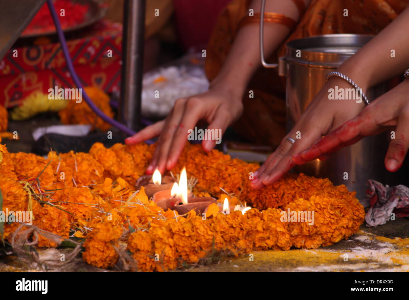 Amérique du Gandhi Maidan, Patna, Bihar, Inde, 4 février 2014. Mahila Magadh Saraswati Puja Collège assiste à Basontasav' ou 'sur Basant Panchami at college campus le mardi matin d'hiver. Patna célèbre Basontasav sur Basant Panchami aujourd'hui quand les déesses hindoues de l'apprentissage Saraswati est adoré. En cette heureuse occasion, les élèves décorent eux-mêmes magnifiquement et divers programmes comme puja, le chant et la danse sont organisés. Soit dit en passant, aujourd'hui est également World Cancer Photo. Credit : Rupa Ghosh/ Alamy Live News. Banque D'Images