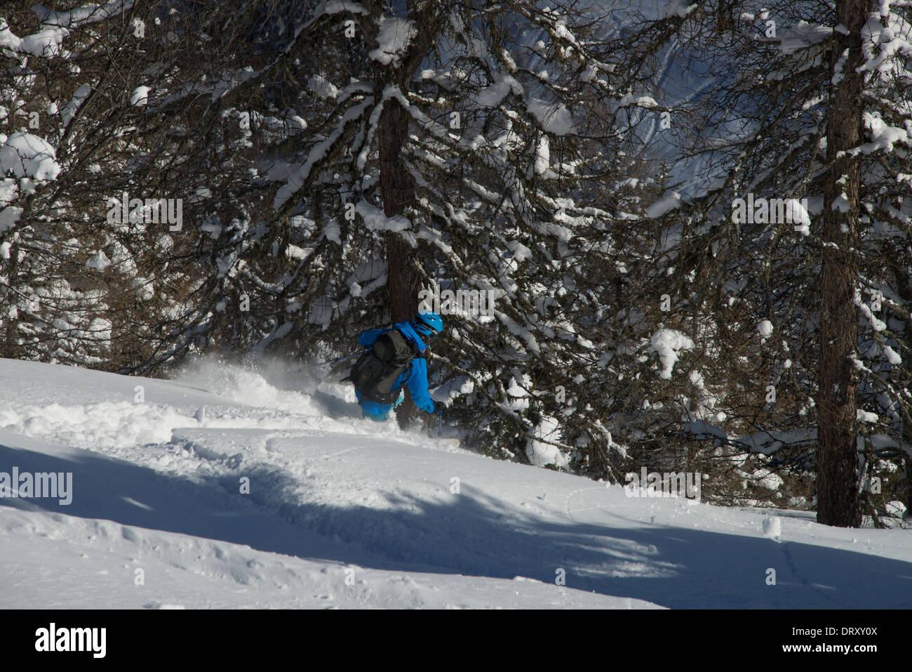 Telemarker féminine de ski dans la forêt près de Axamer-Lizum Banque D'Images