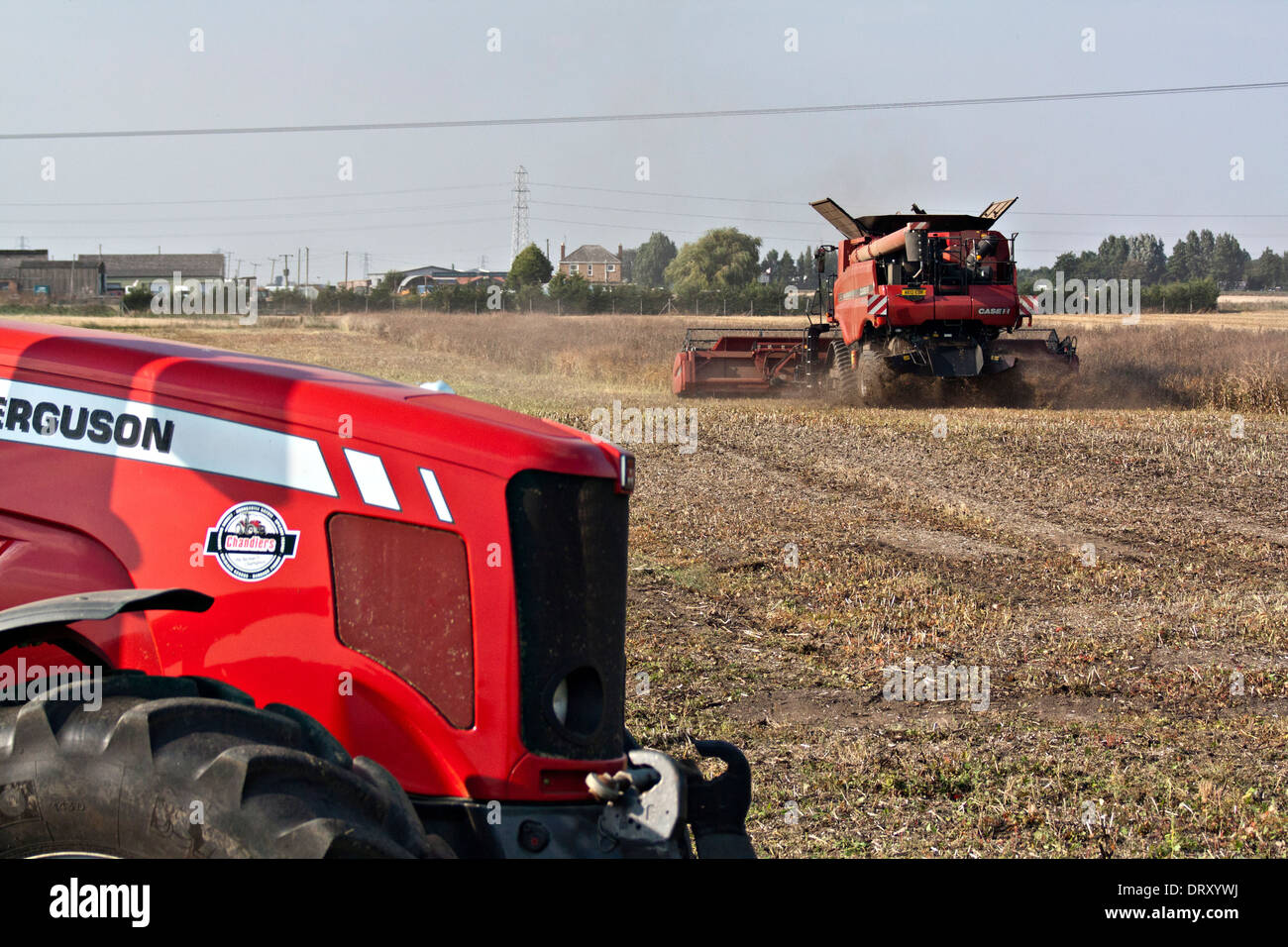Tracteur Massey Ferguson moissonneuse-batteuse Claas avec en arrière-plan de travail Banque D'Images