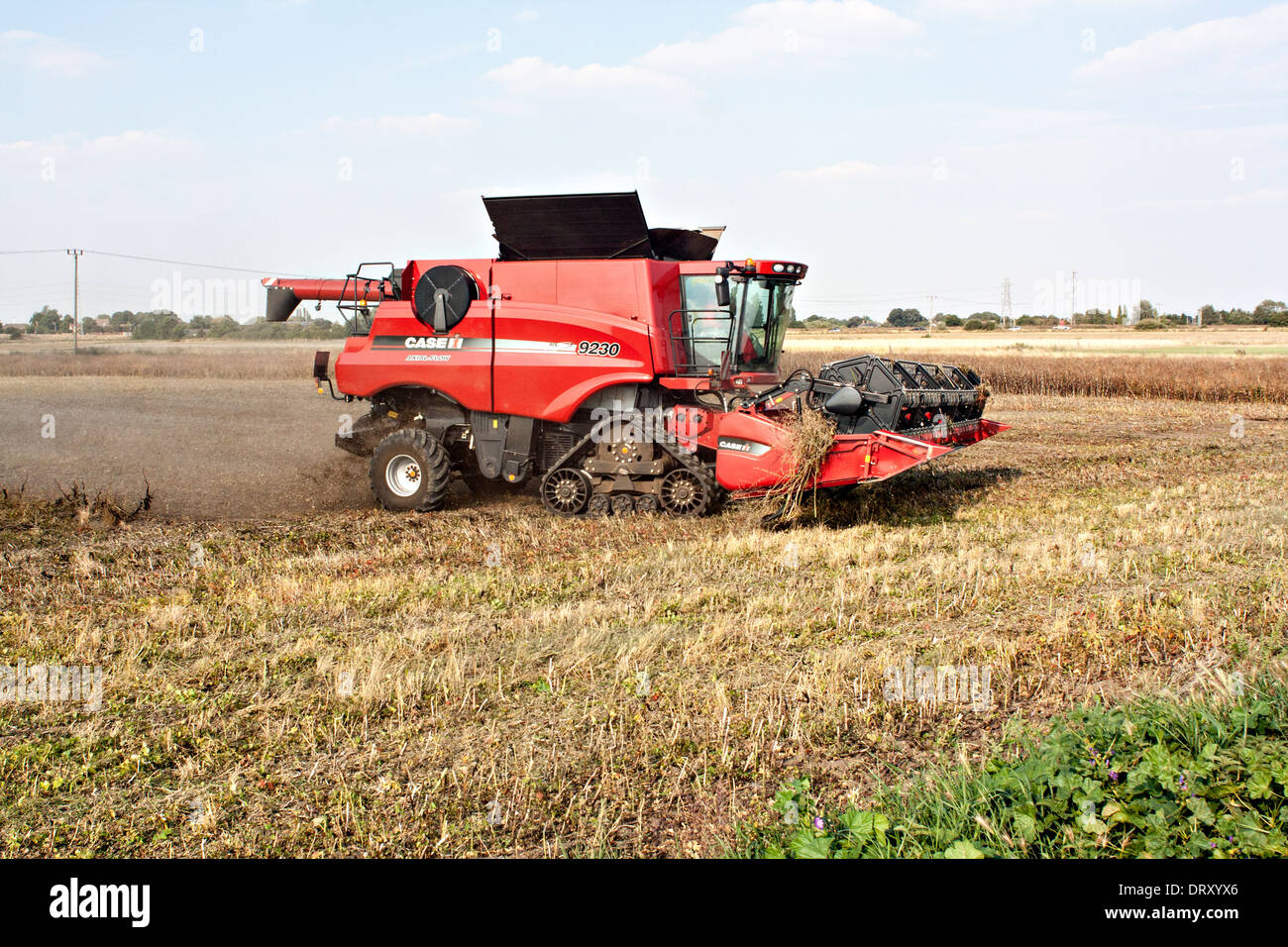 Moissonneuse-batteuse Claas Banque D'Images