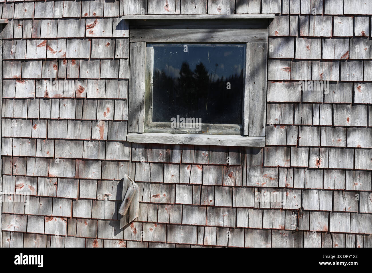 Une ancienne fenêtre sur une vieille cabane à poisson en Nouvelle-Écosse Banque D'Images