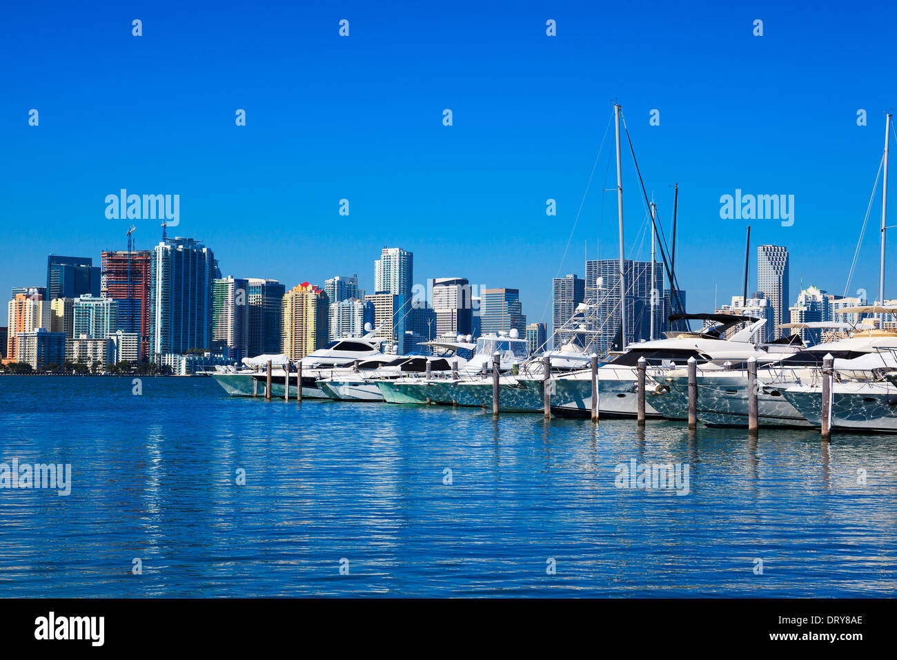 Le centre-ville de Miami avec ciel bleu, en Floride Banque D'Images