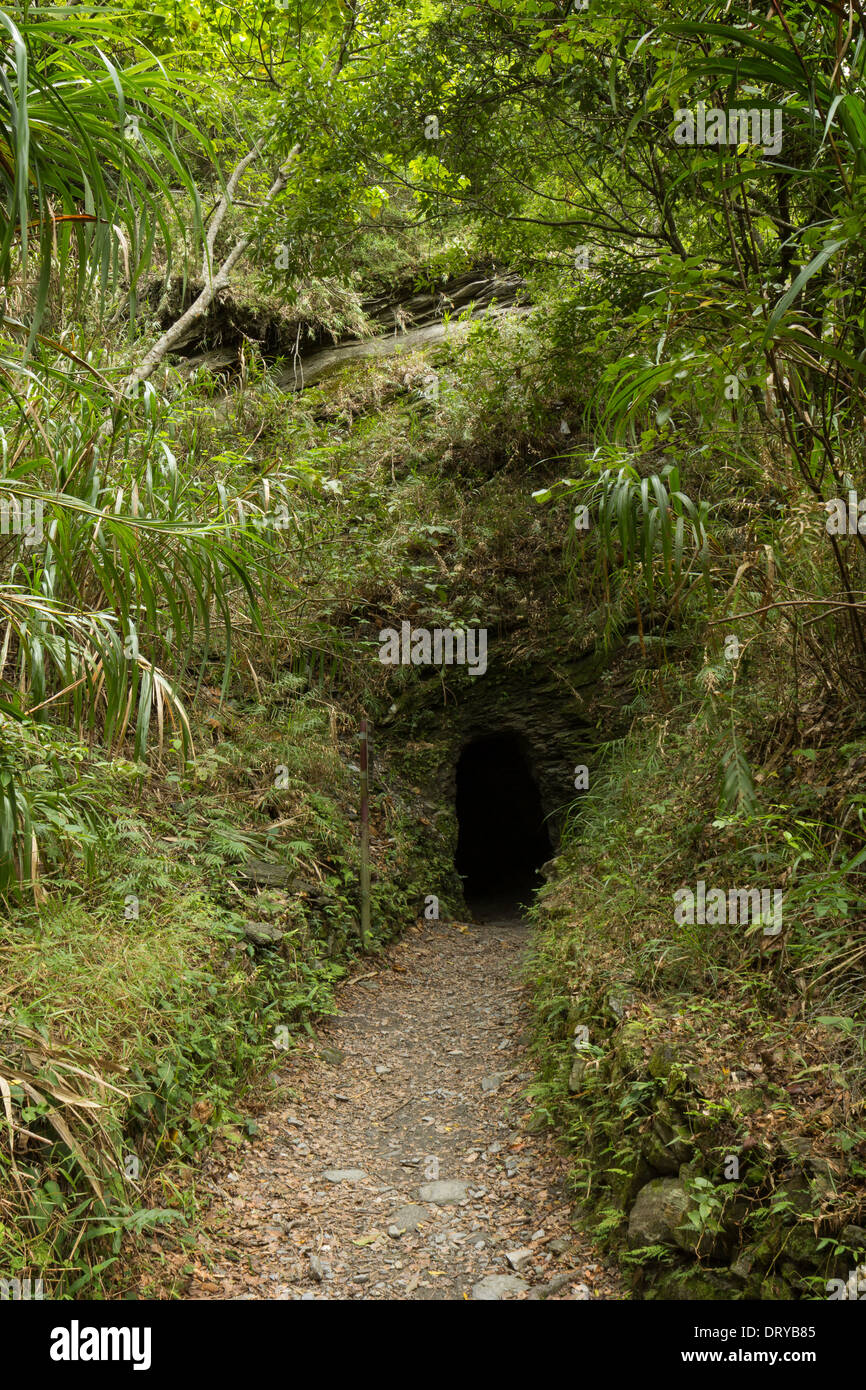 Chemin menant à un petit tunnel sombre dans une roche, entouré par une végétation verte et luxuriante Banque D'Images