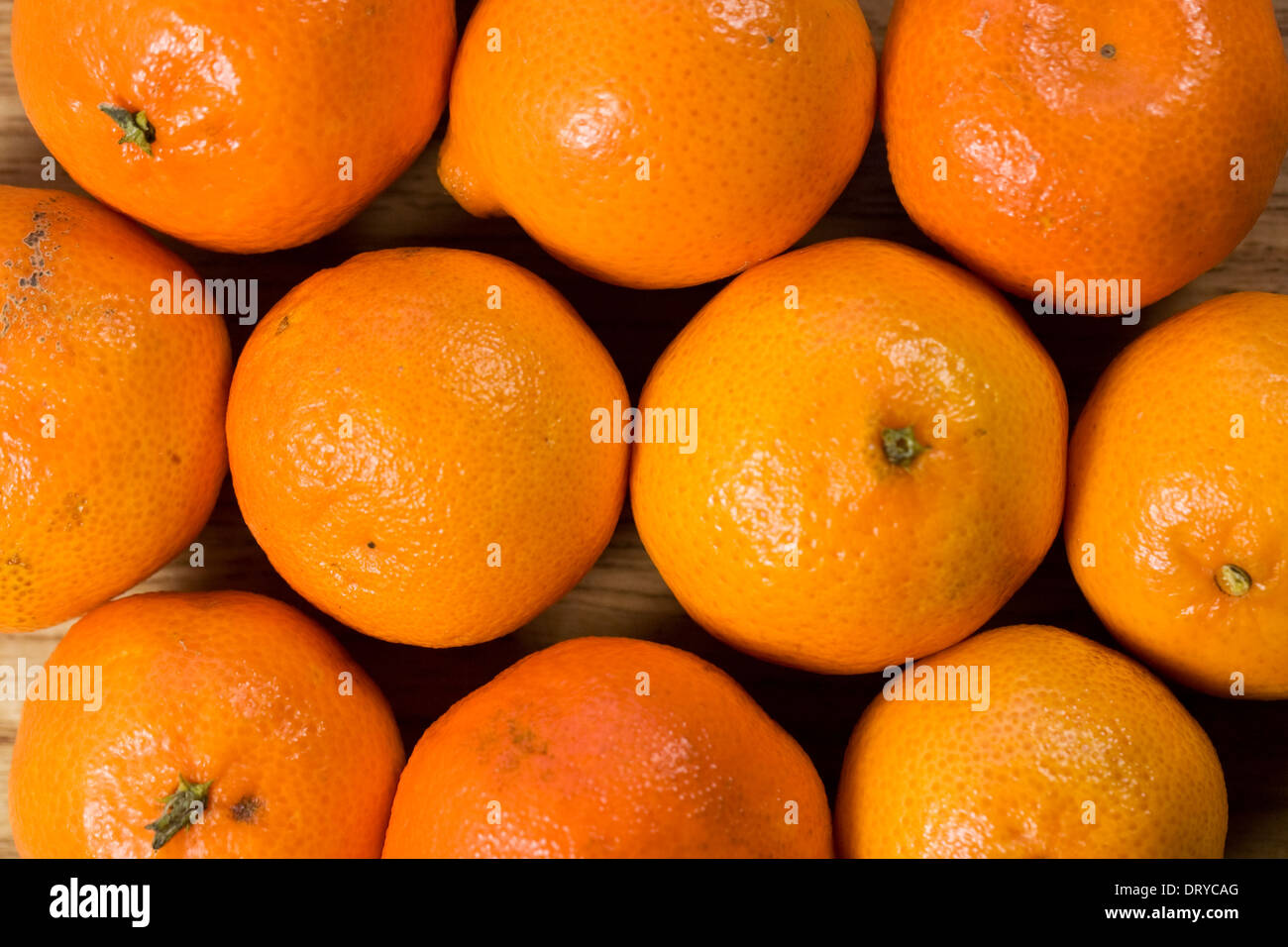× Citrus clementina. Modèle de clémentines. Banque D'Images
