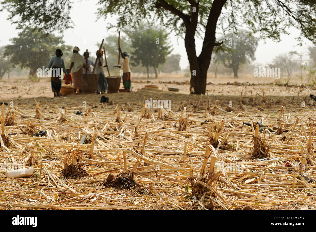 BURKINA FASO Kaya Korsimoro village, les femmes, livre de millet, de la région du Sahel est régulièrement touchée par la sécheresse et la faim Banque D'Images