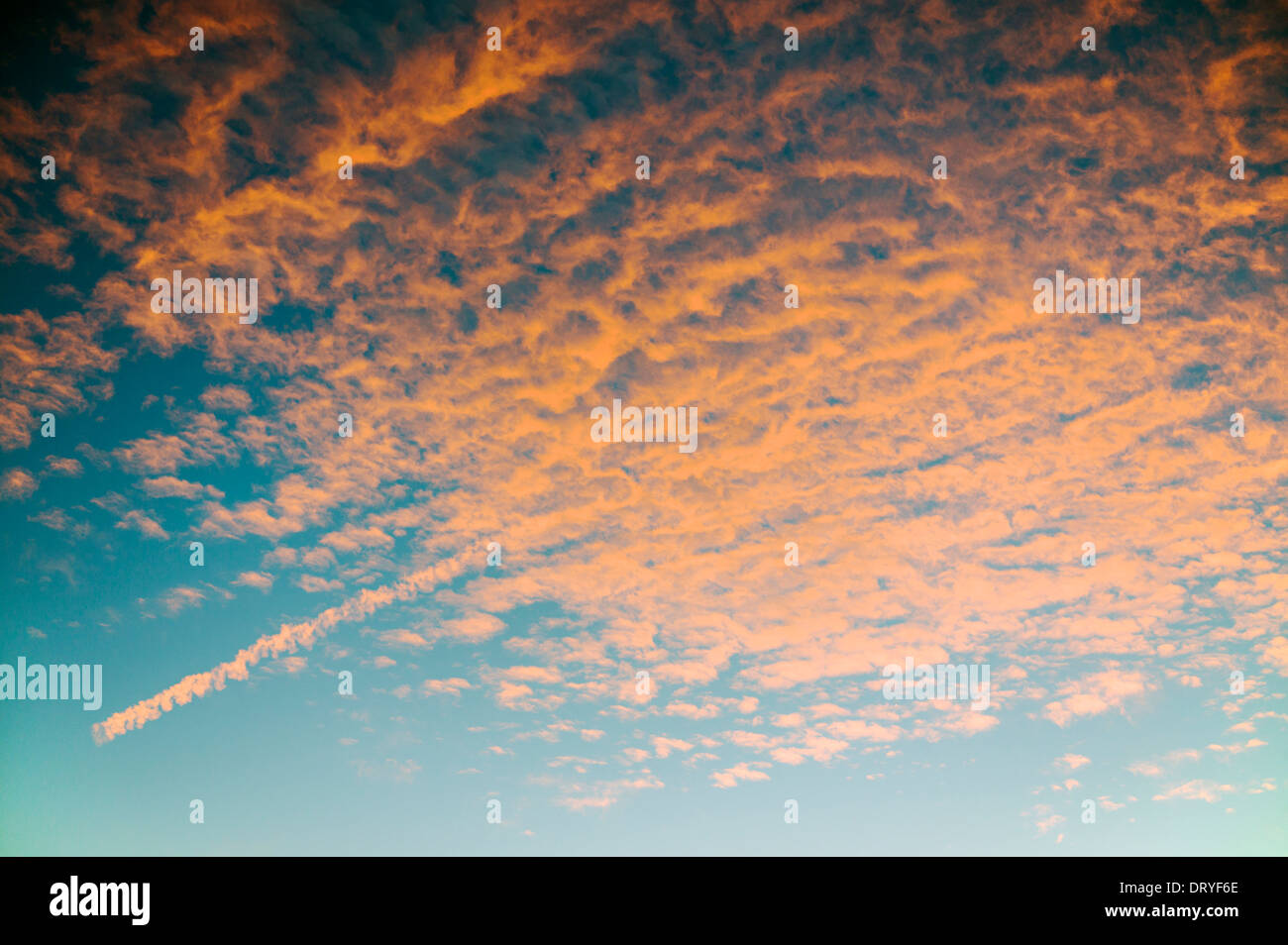 Traînées de nuages rose contre un ciel coucher de soleil bleu clair, Salida, Colorado, USA Banque D'Images