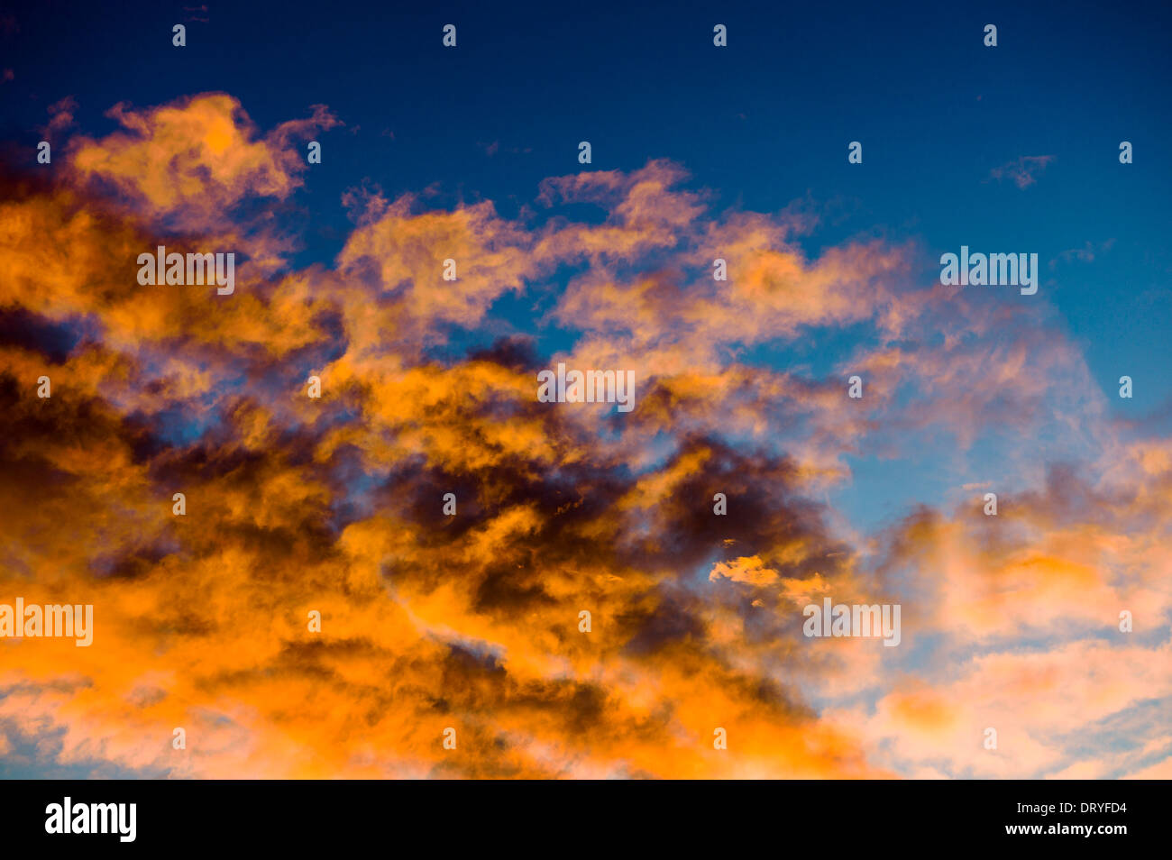 Rose et dramatique nuages orange au coucher du soleil, Salida, Colorado, USA Banque D'Images