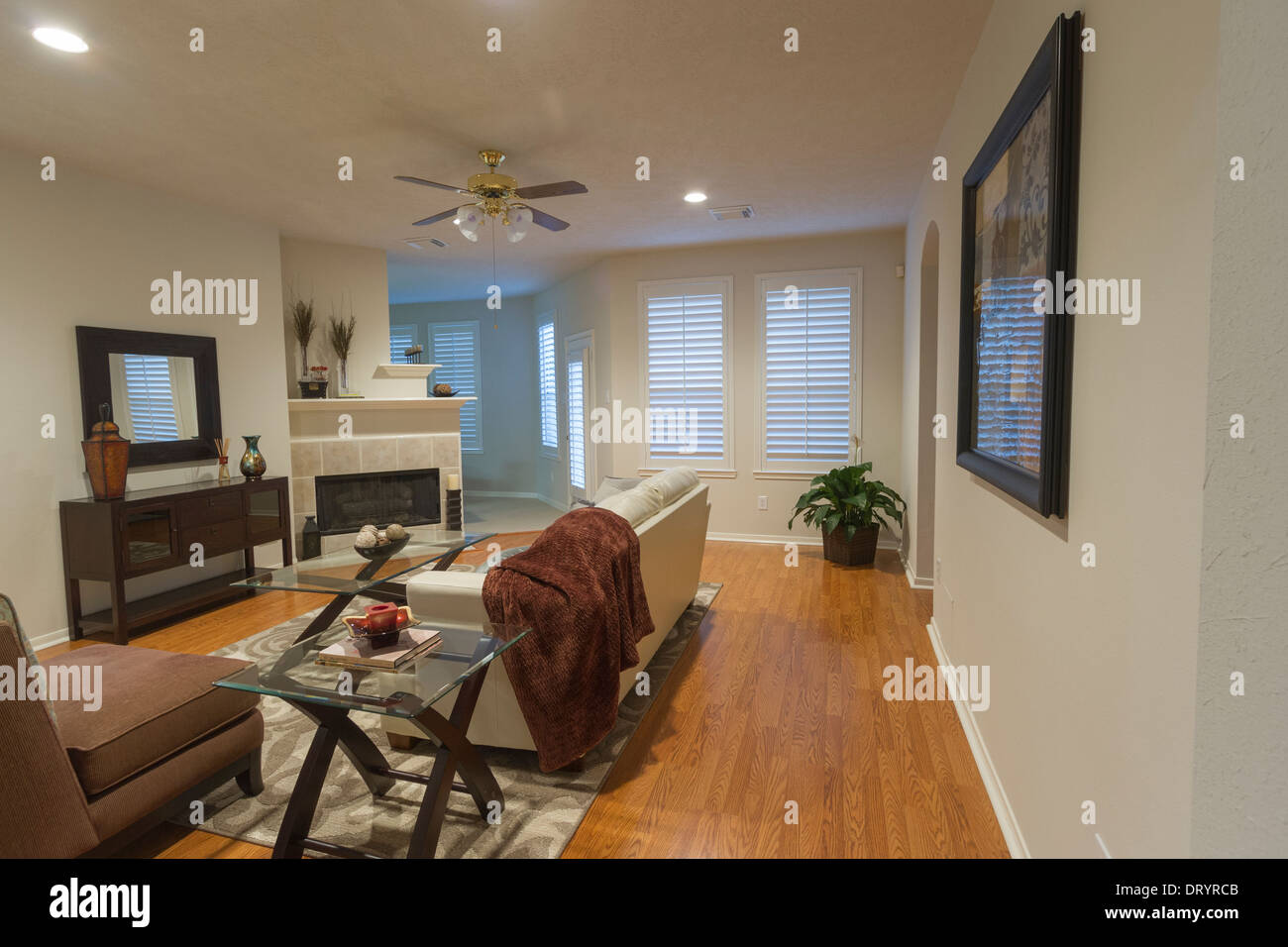 Séjour avec volets en bois sur mesure à la mi-taille suburban home Banque D'Images