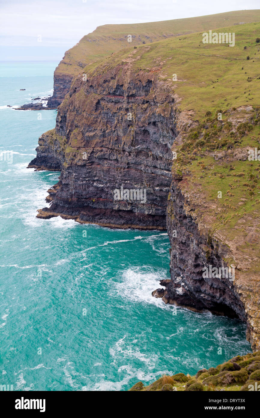 La côte bordée de falaises de la péninsule de Banks, Nouvelle-Zélande Banque D'Images