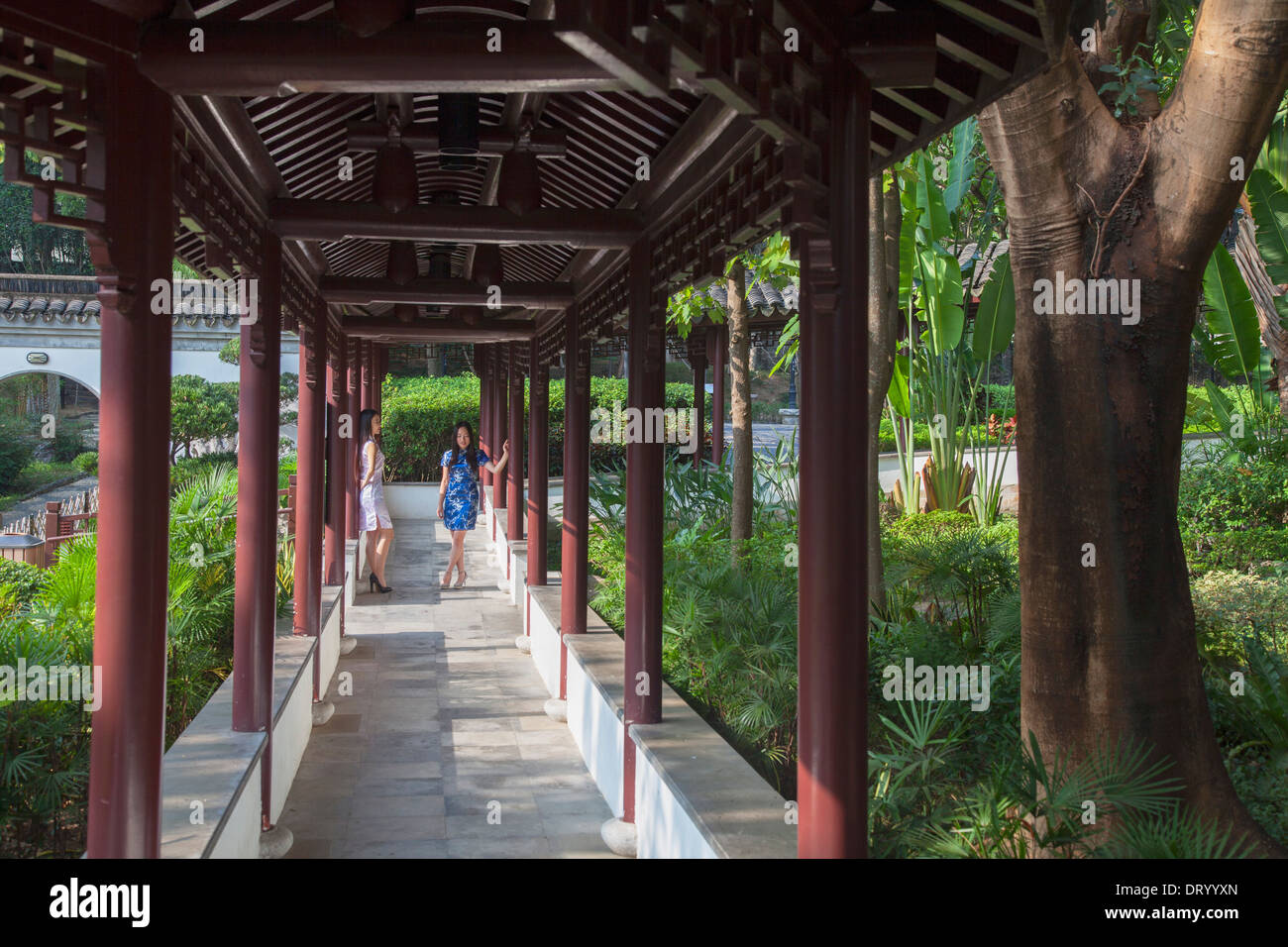 Les femmes portant robe cheongsam traditionnel à Kowloon Walled City, Kowloon, Hong Kong, Chine Banque D'Images