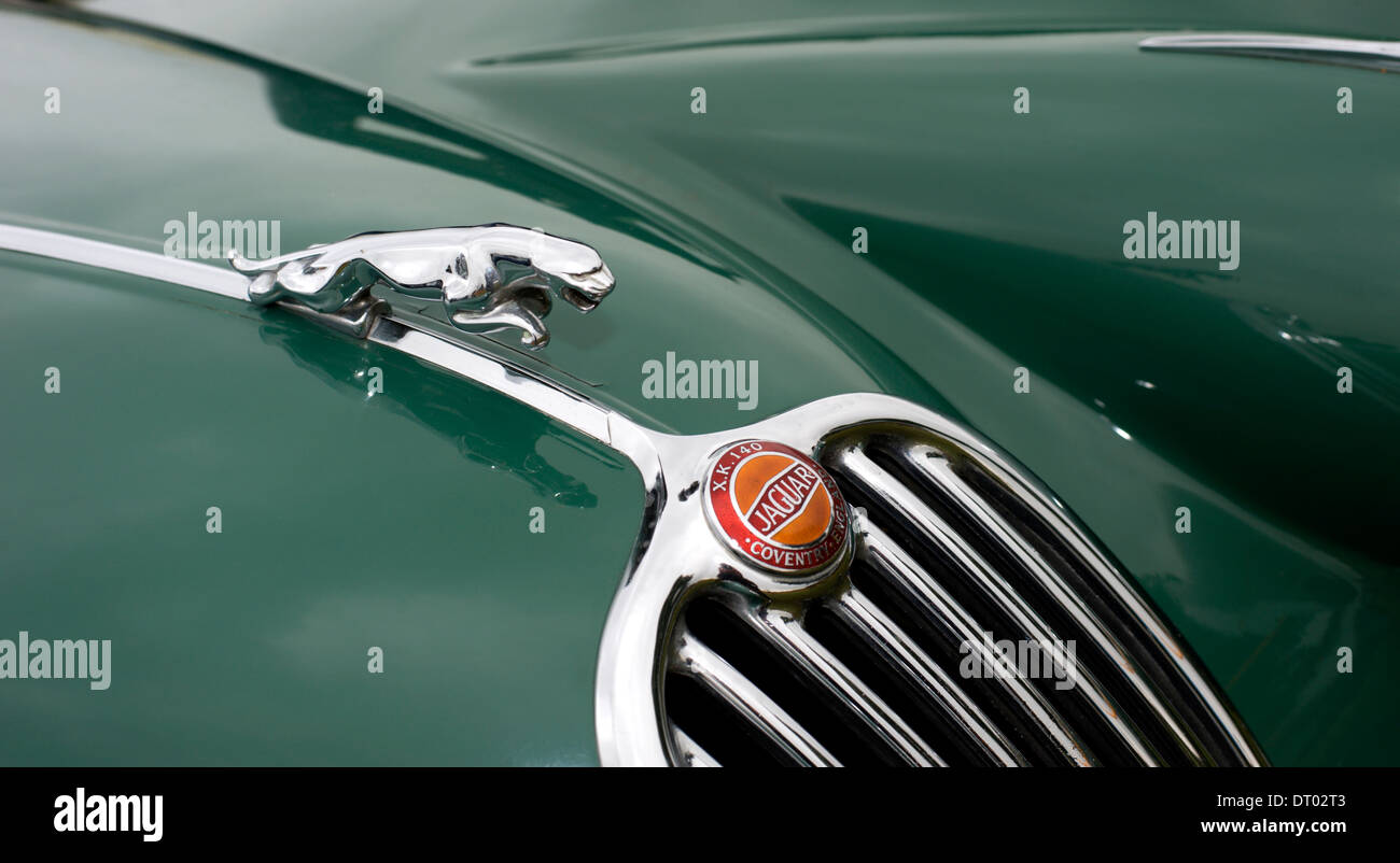De près de l'insigne de Jaguar sur le capot d'un poli véhicule classique  affichée à une foire agricole à Surrey Photo Stock - Alamy