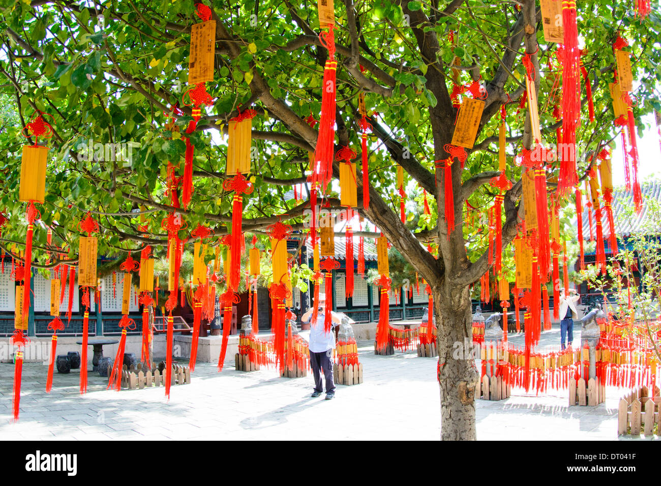 La Chine, Beijing, Yonghegong Lama Temple bonne chance charms Banque D'Images