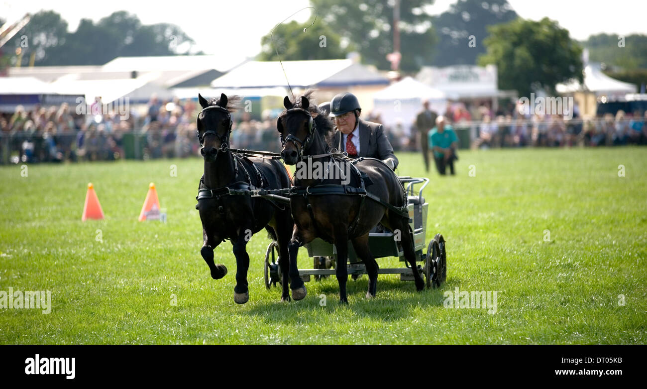 Concurrents dans le faisceau double se précipitent à la concurrence conduite Edenbridge et salon de l'agriculture Oxted Surrey Banque D'Images