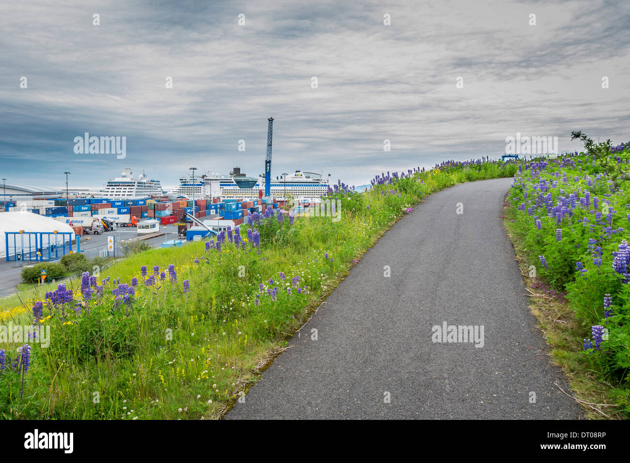 Sentier de marche par port de Reykjavik. Les contenants d'expédition avec les grands navires de croisière dans le port, Reykjavik, Islande Banque D'Images