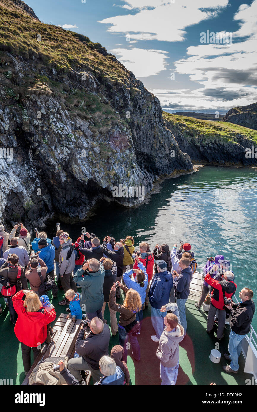 Les touristes en ferry à la vie des oiseaux, à Stykkisholmur, Islande, de l'Ouest Banque D'Images