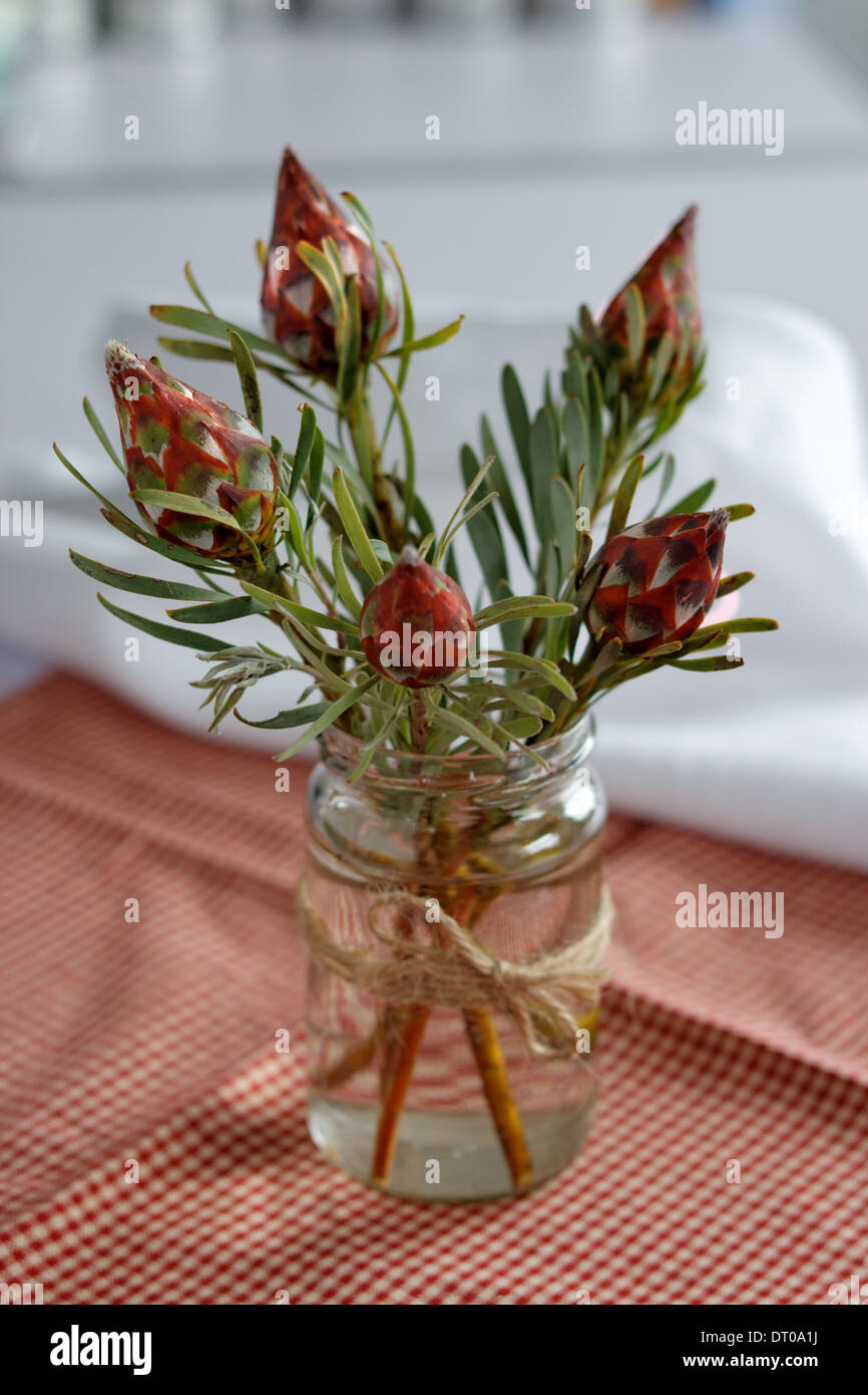 Les fleurs exotiques dans les jar Banque D'Images