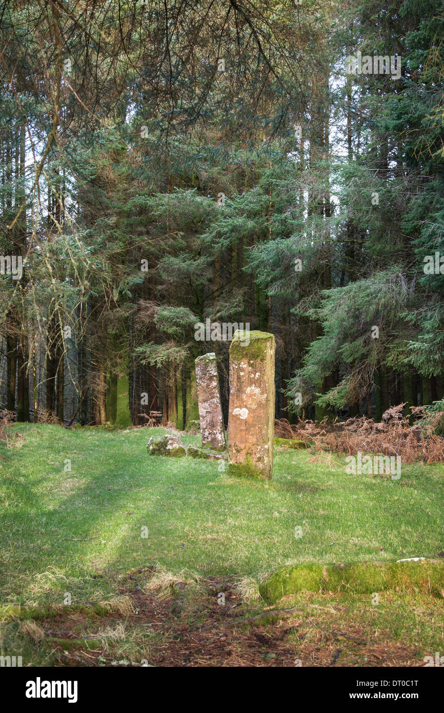 Pierres à Kilmore Dervaig sur l'île de Mull en Ecosse. Banque D'Images