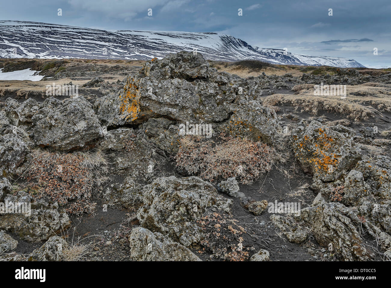 La pierre de lave et de mousses par cascade godafoss, Islande Banque D'Images