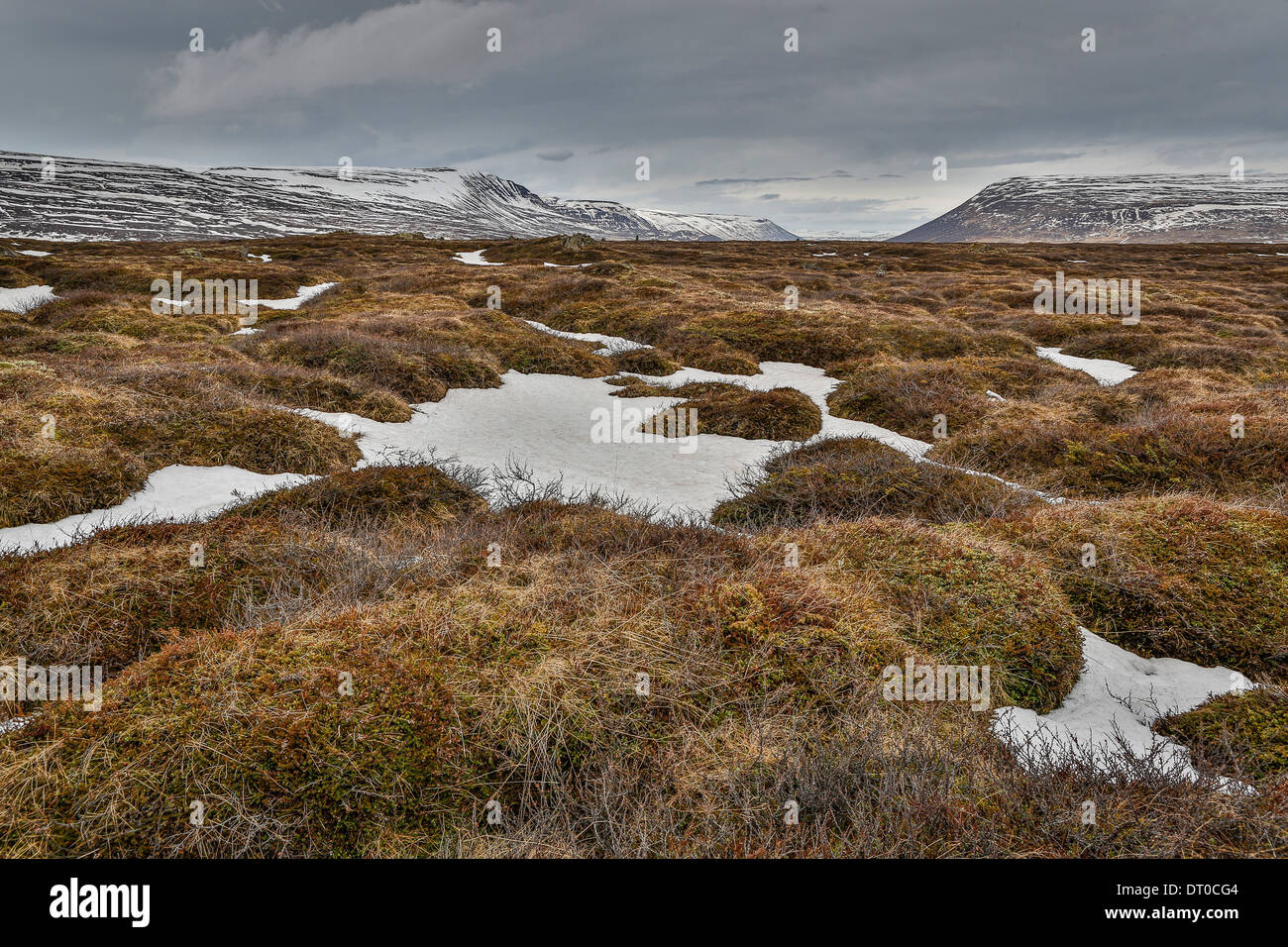 La pierre de lave et de mousses par cascade godafoss, Islande Banque D'Images