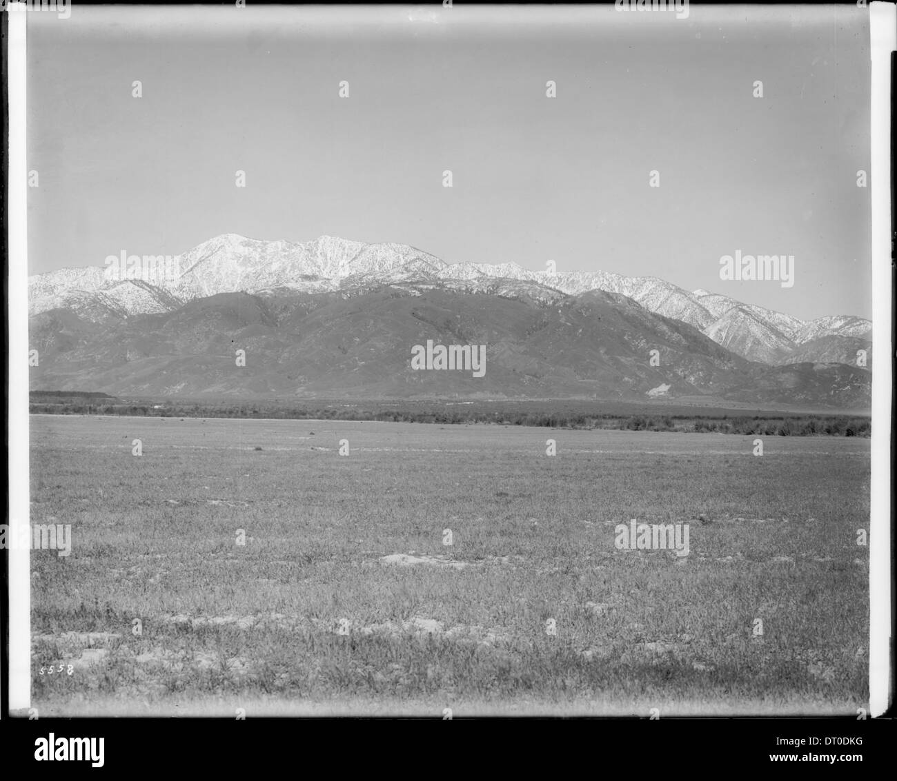 Une vue lointaine du Mont San Antonio, également connu sous le nom de Mont Baldy, capturée vers 1920, montrant la beauté naturelle de la montagne. Banque D'Images