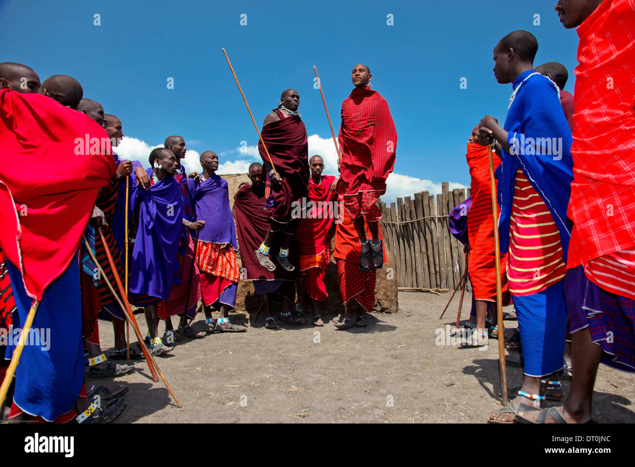 Les guerriers massaïs faire un saut à la danse traditionnelle Banque D'Images