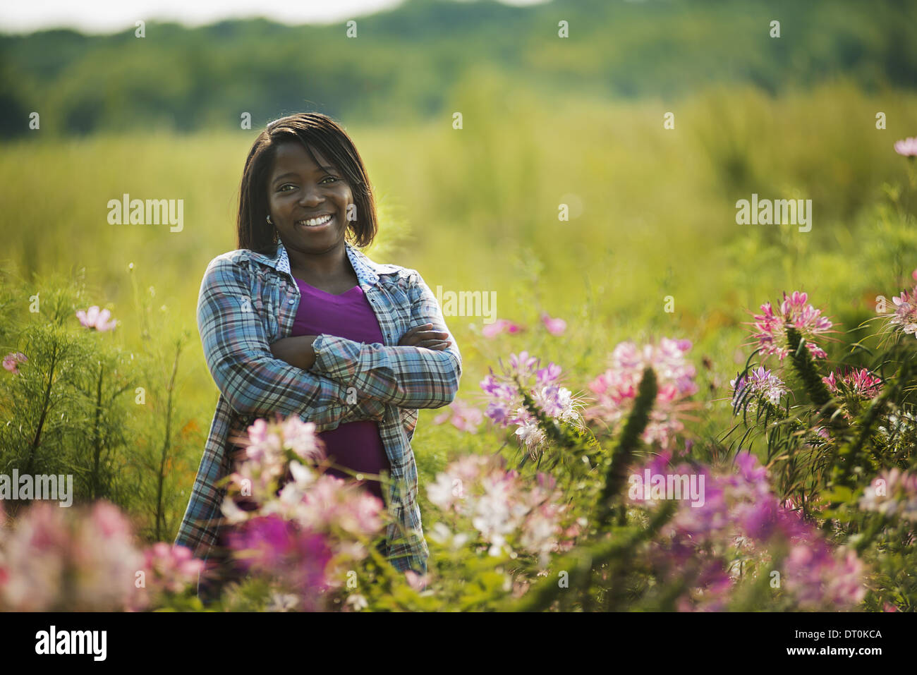 Woodstock, New York USA Woman Organic Flower Farm Banque D'Images
