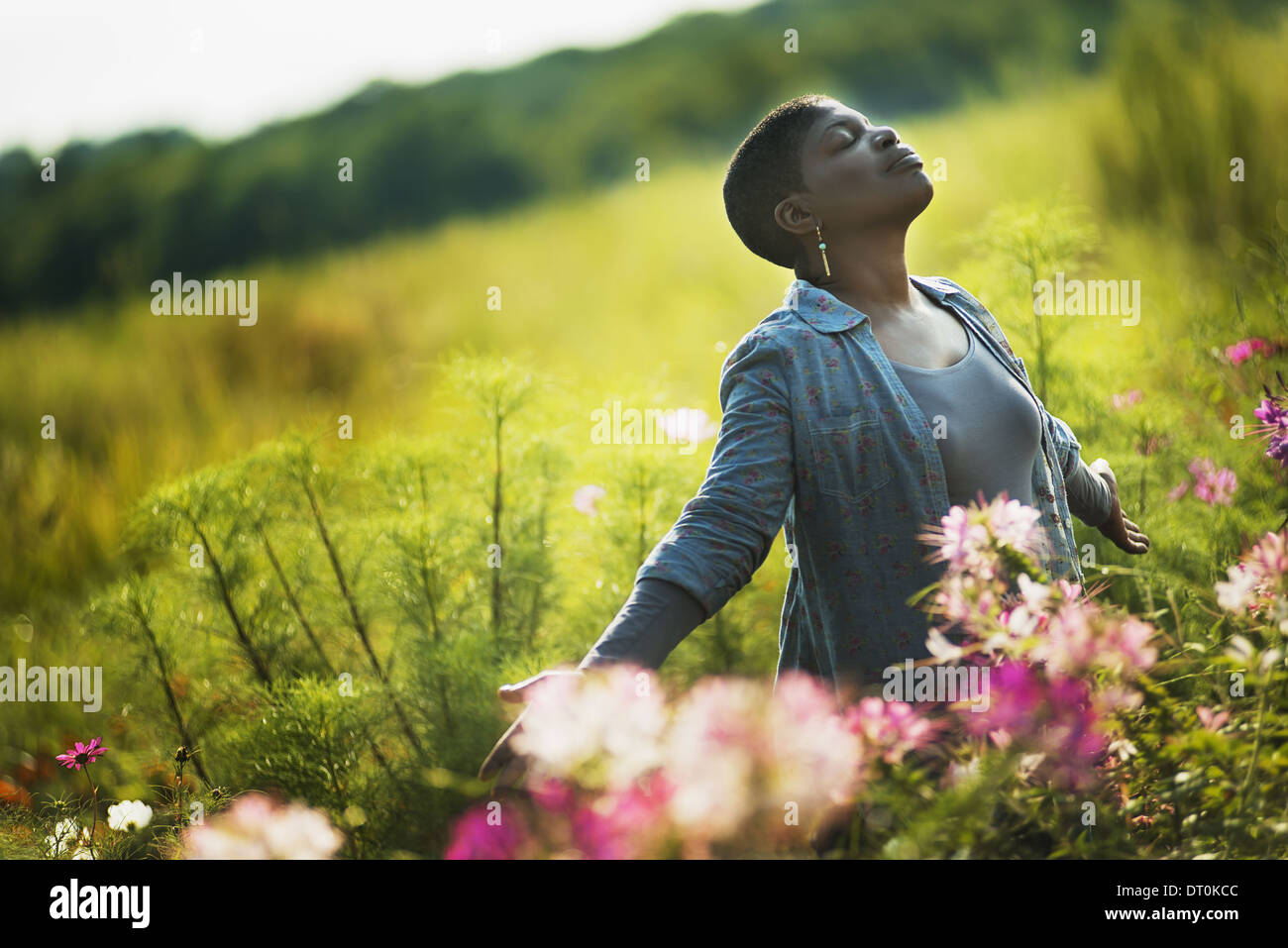 Woodstock, New York USA Woman Organic Flower Farm Banque D'Images