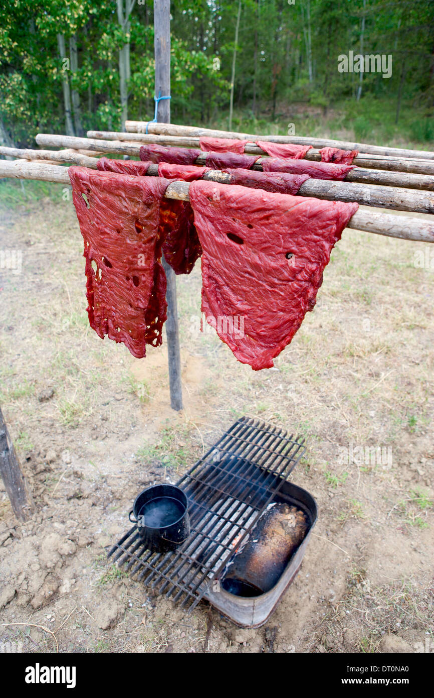 De fines lamelles de viande de bison fumeurs la façon traditionnelle sur un feu Banque D'Images